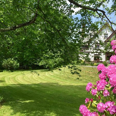 Manor House Bed & Breakfast Norfolk Luaran gambar